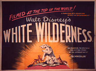 white_wilderness